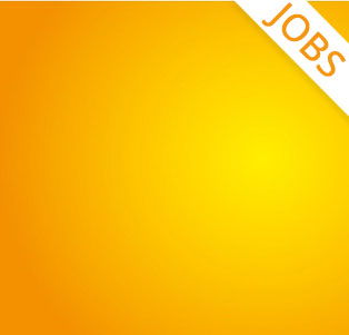 Jobs / Karriere bei Dolpp